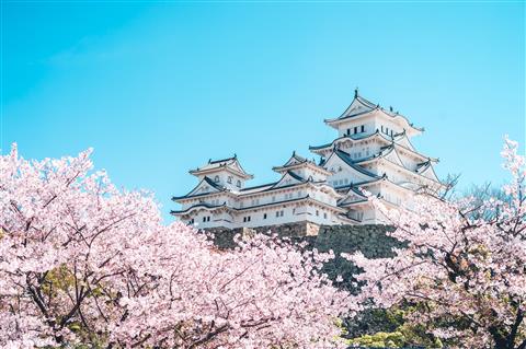 姫路城（4月頃撮影）